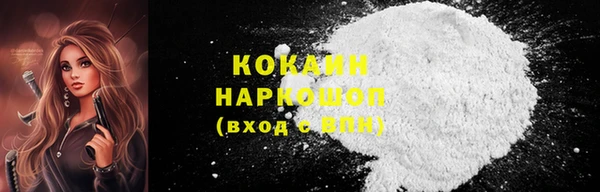 шишки Тутаев