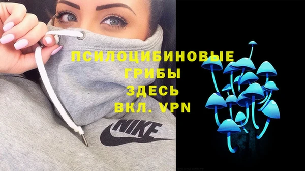 ешки Туринск