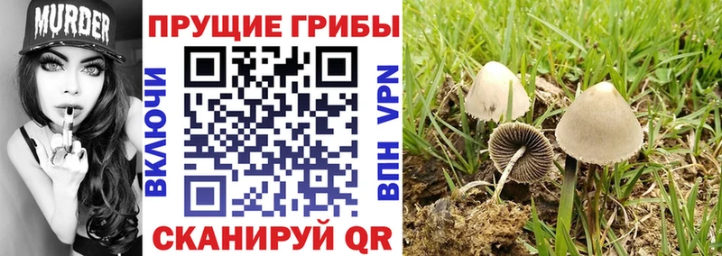 Псилоцибиновые грибы мухоморы  Тверь 